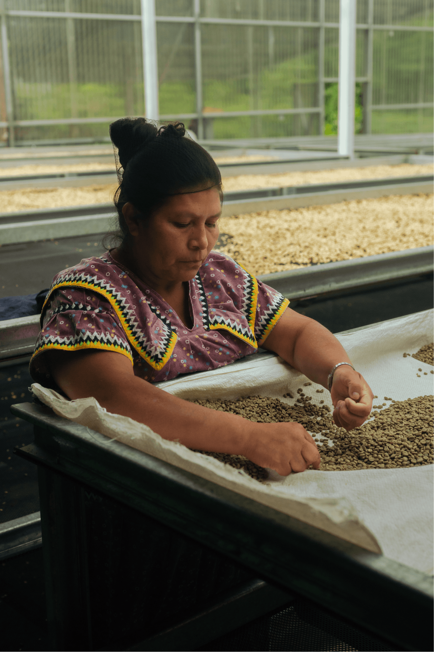 Bambito Estate Coffee — image 1 — 2 — 1