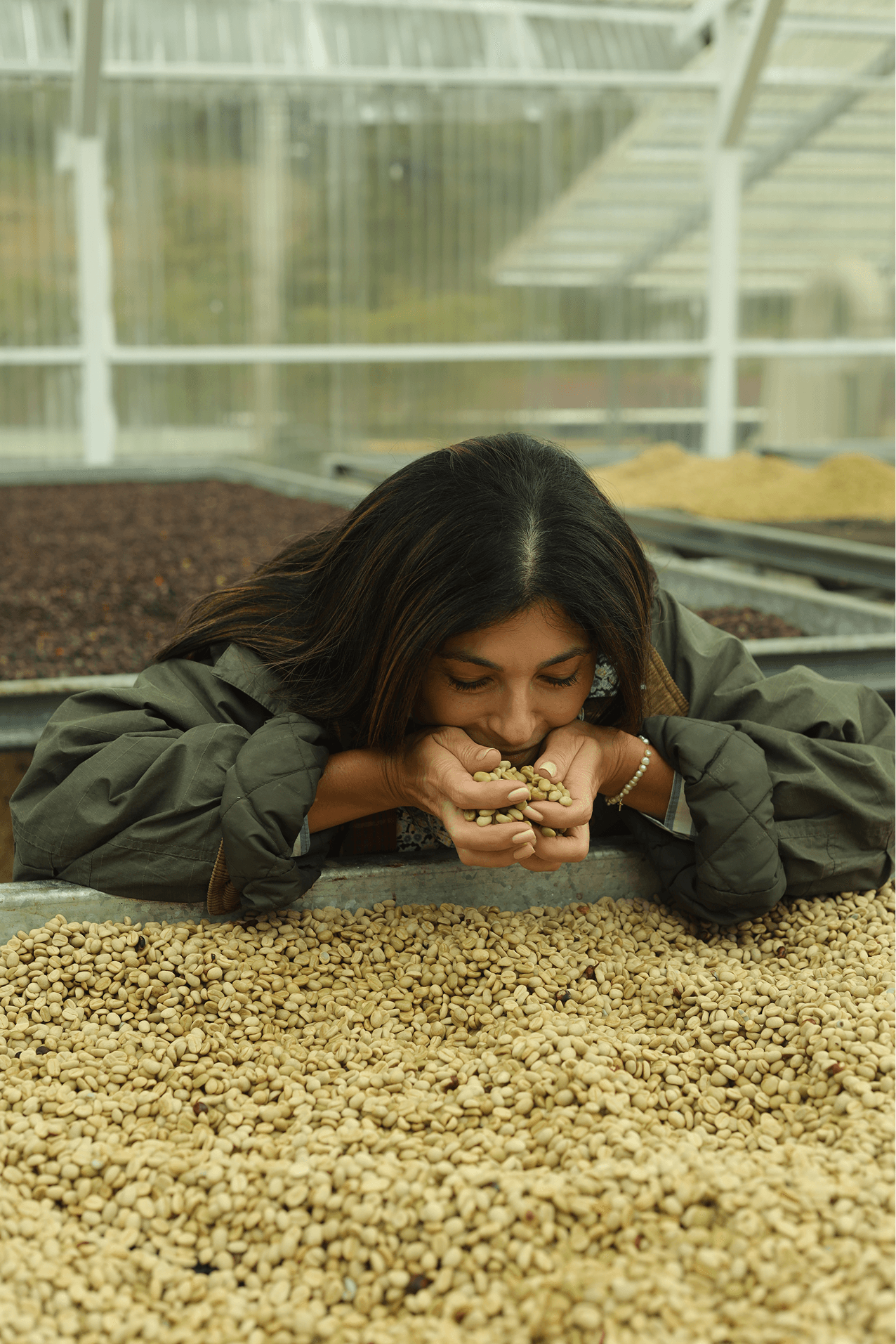 Bambito Estate Coffee — image 1 — 5 — 1